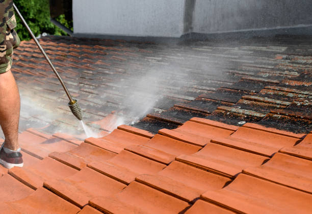 Best Sidewalk Pressure Washing  in Gaylord, MI