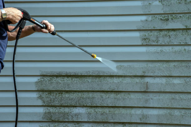 Best Deck Pressure Washing  in Gaylord, MI