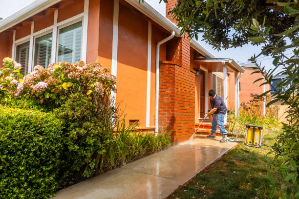 Best Affordable Power Washing  in Gaylord, MI