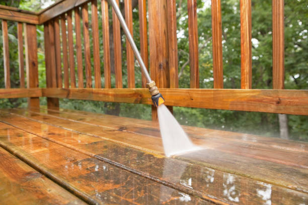 Best Roof Pressure Washing  in Gaylord, MI